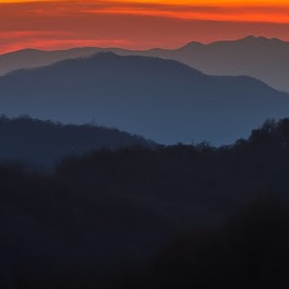 Meet your Posher, Matthew - Picture 1 of 1